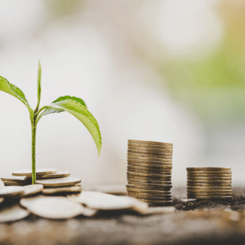 Finance Sustainability and AP Automation